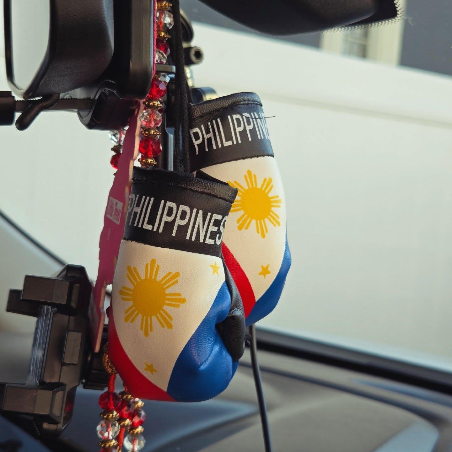 Philippines Mini Boxing Gloves