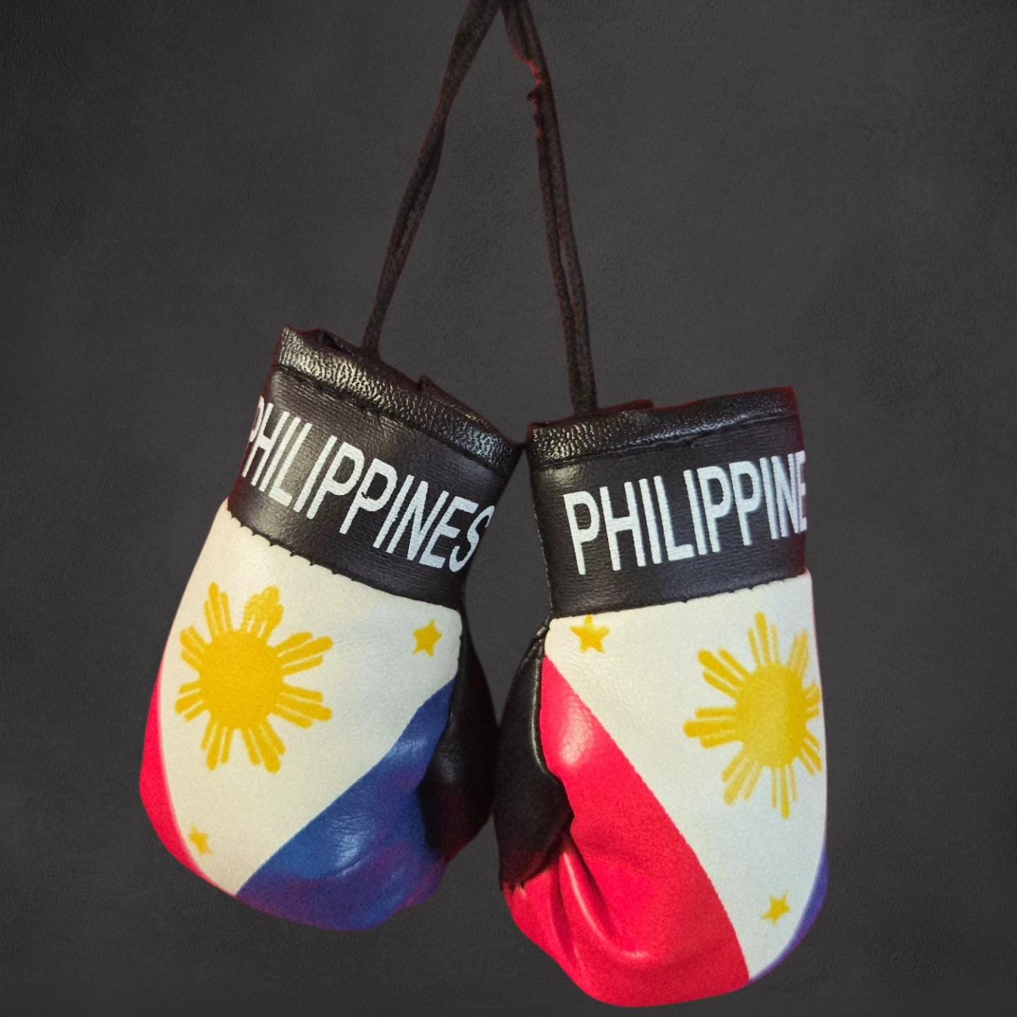 Philippines Mini Boxing Gloves
