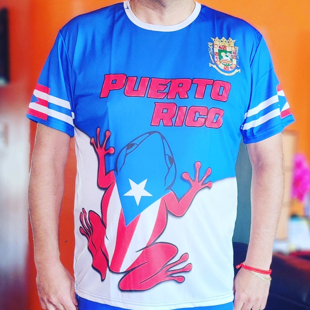 Puerto Rico Flag taino coqui rock frog t-shirts