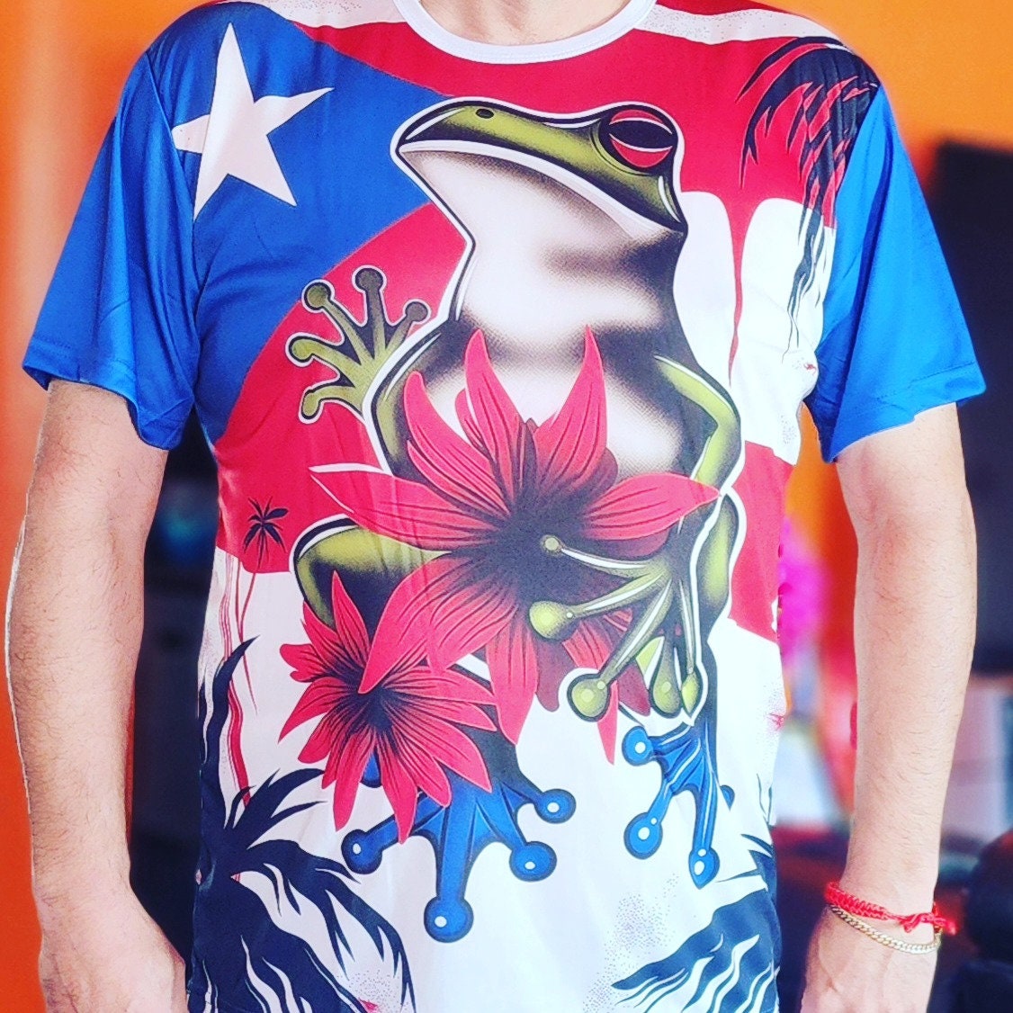 Puerto Rico Flag taino coqui rock frog t-shirts